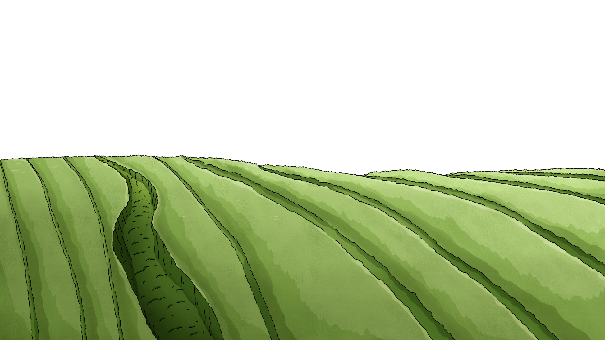 BG