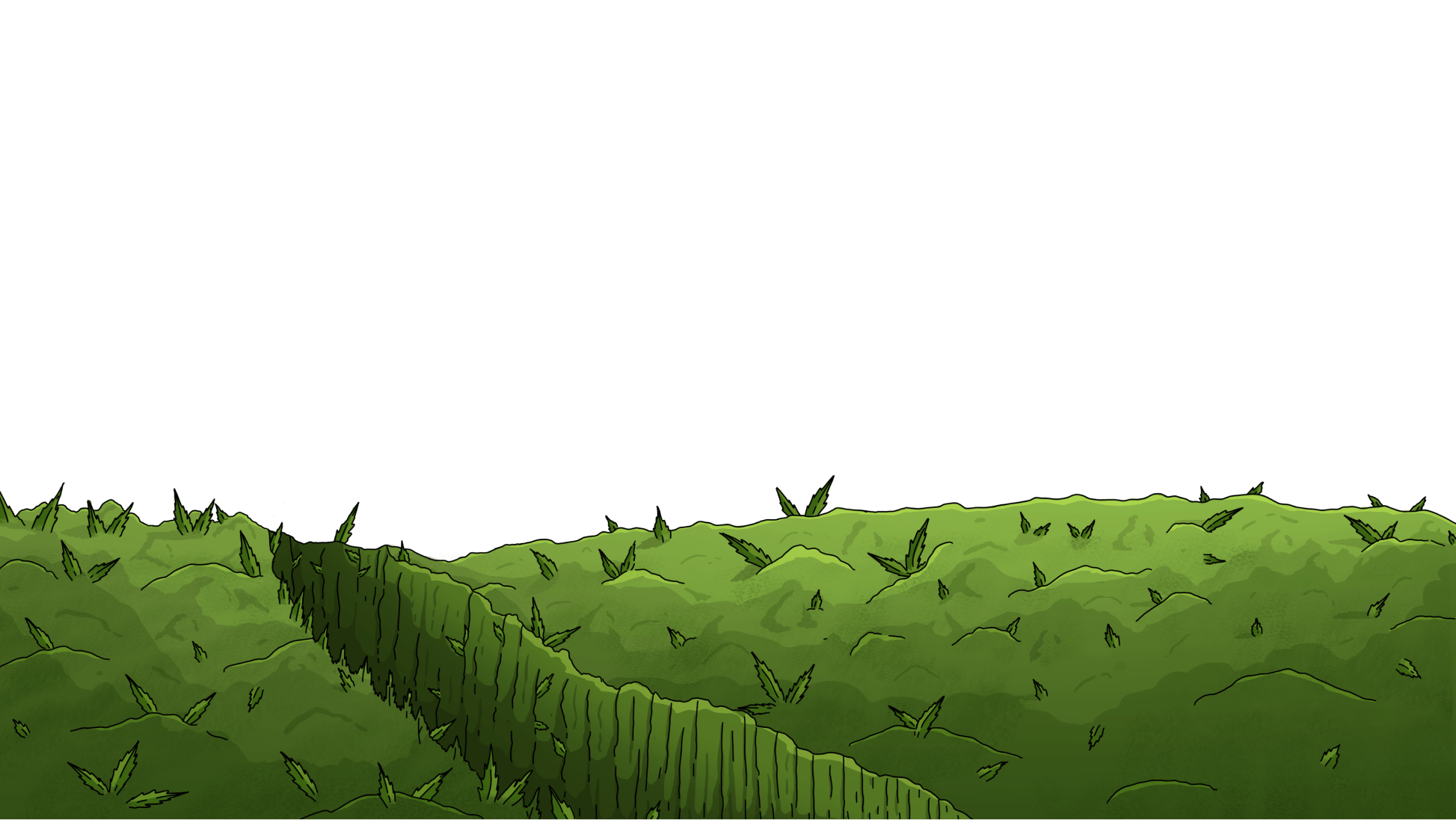 BG